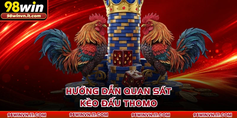 Hướng dẫn quan sát kèo đấu Thomo