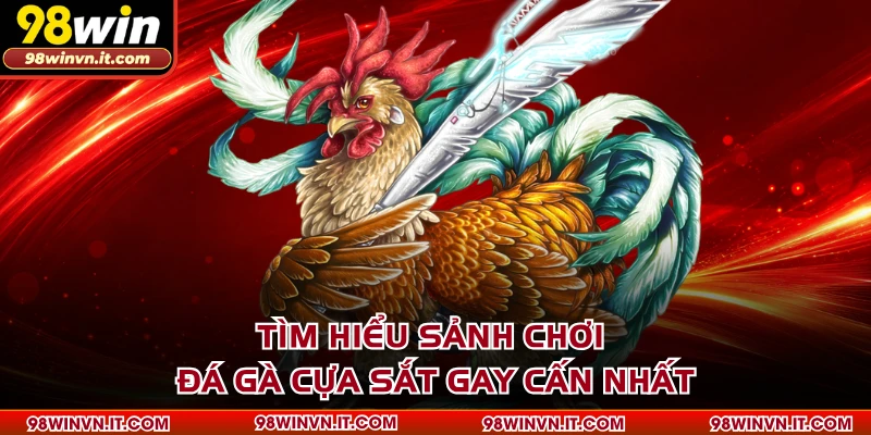 Tìm hiểu sảnh chơi đá gà cựa sắt gay cấn nhất