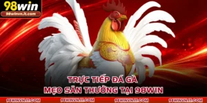 Trực Tiếp Đá Gà - Mẹo Săn Thưởng Tại 98WIN