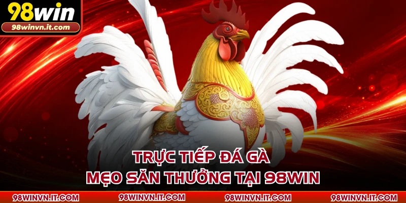 Trực Tiếp Đá Gà - Mẹo Săn Thưởng Tại 98WIN